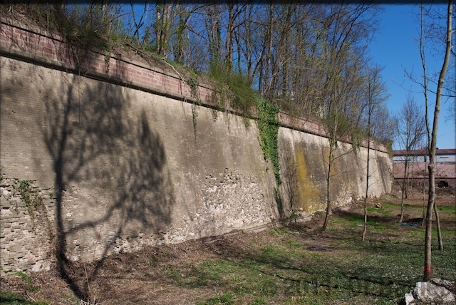 L1000684Version2