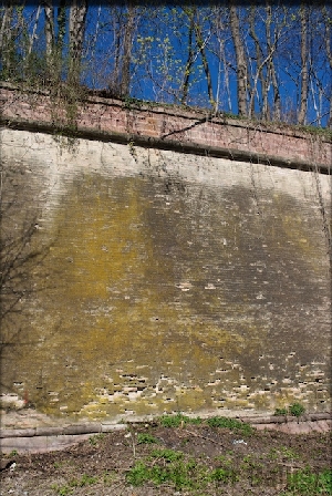 L1000686Version2