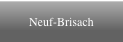 Neuf-Brisach